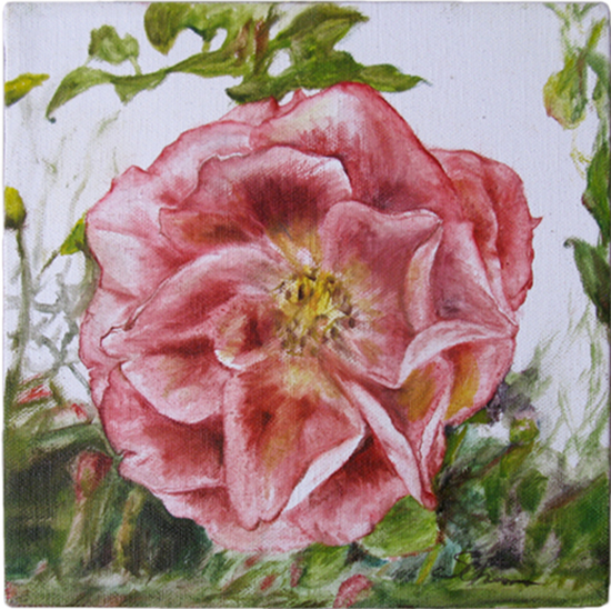 Heritage Rose 1 (Oil painting)