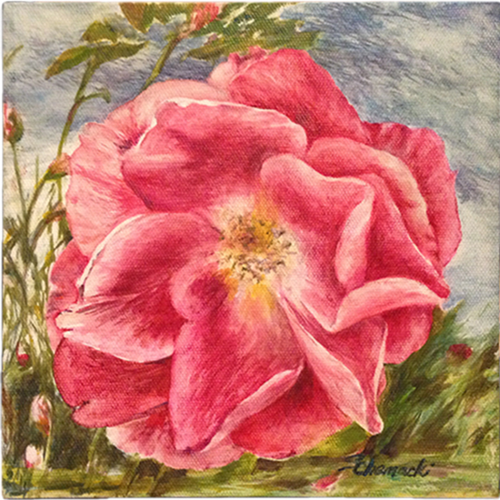 Heritage Rose 3 (Oil painting)